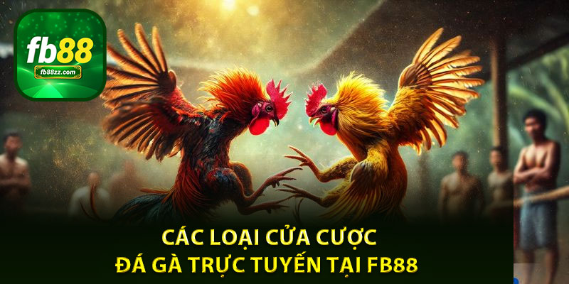 Các loại cửa cược đá gà trực tuyến tại FB88