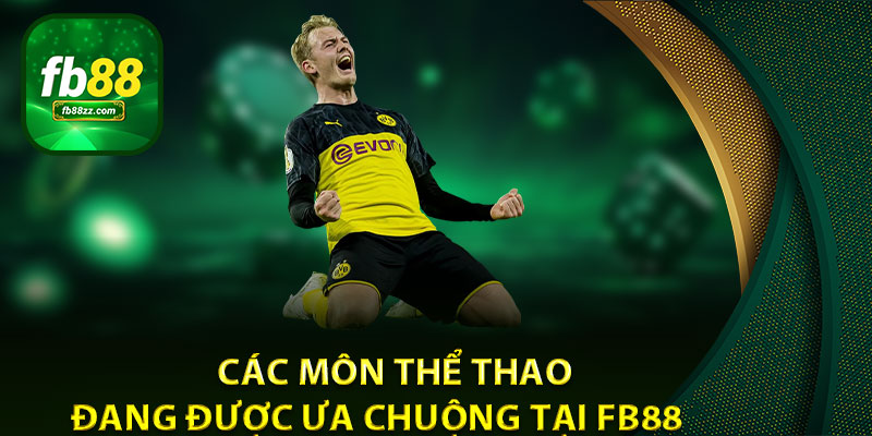 Các môn thể thao đang được ưa chuộng tại FB88