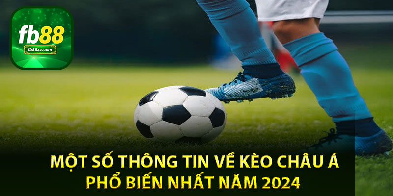 Một số thông tin về kèo châu Á phổ biến nhất năm 2024