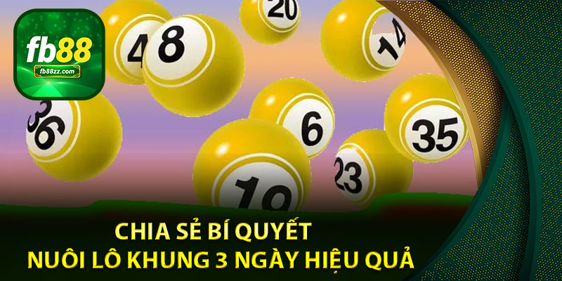 Chia sẻ bí quyết nuôi lô khung 3 ngày hiệu quả