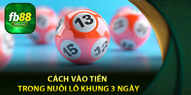 Hướng dẫn cách vào tiền hiệu quả cho phương pháp nuôi lô khung 3 ngày